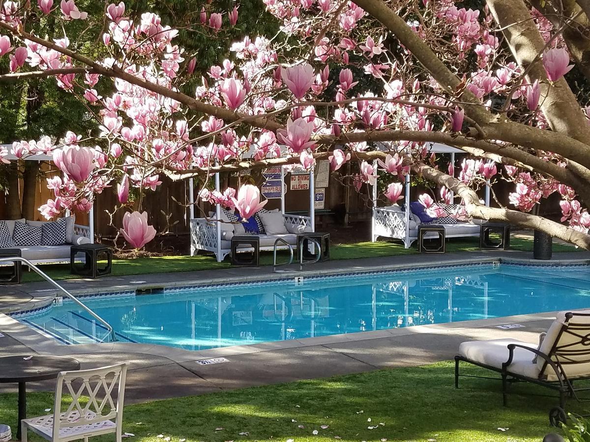 The White House Napa Valley エクステリア 写真